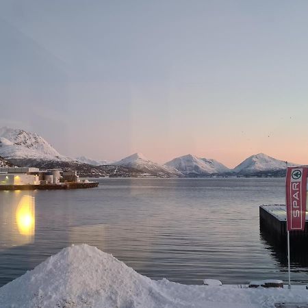 Aurora Harbour House Villa Lodingen Eksteriør billede