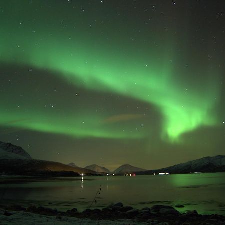Aurora Harbour House Villa Lodingen Eksteriør billede