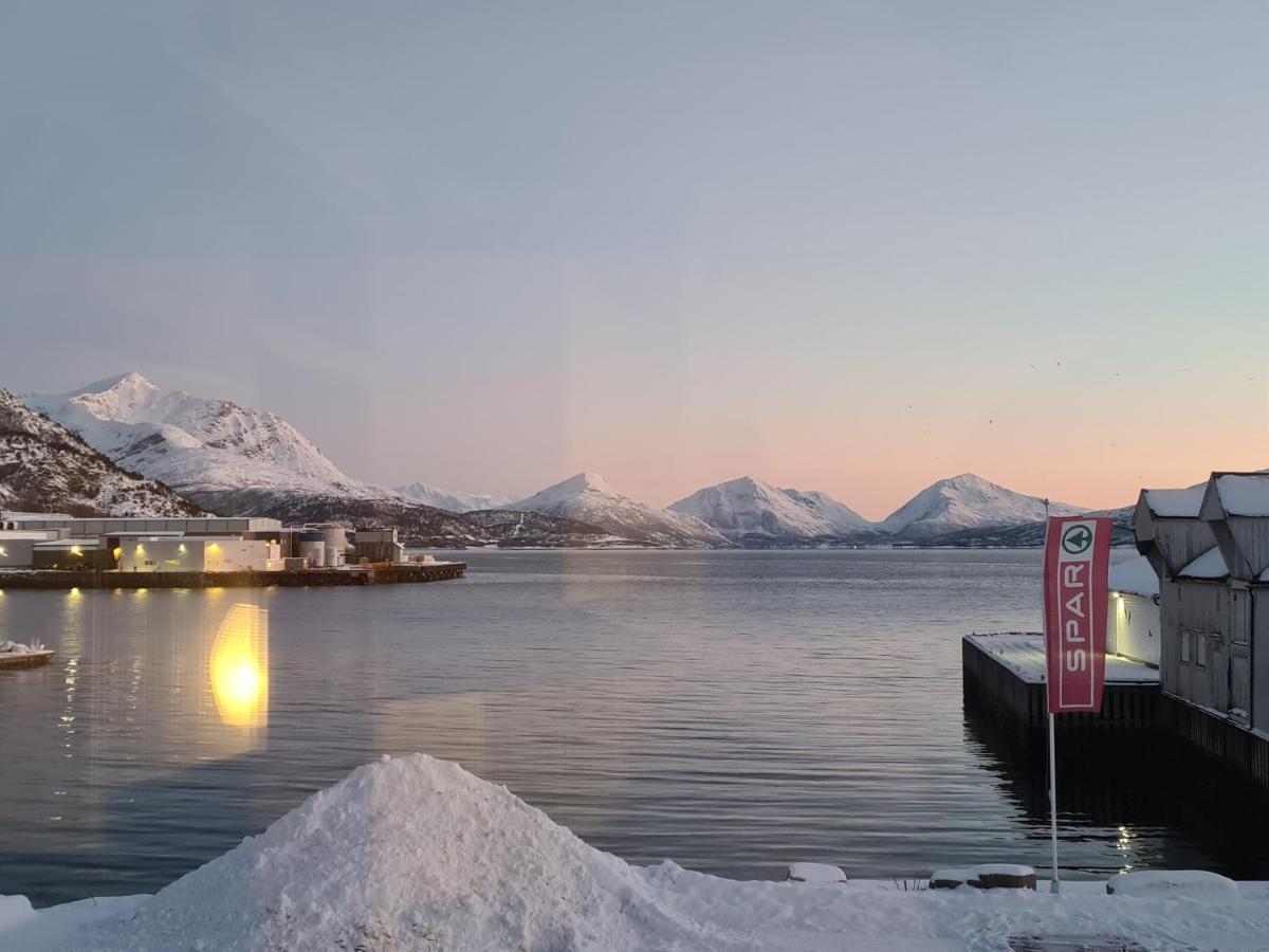 Aurora Harbour House Villa Lodingen Eksteriør billede
