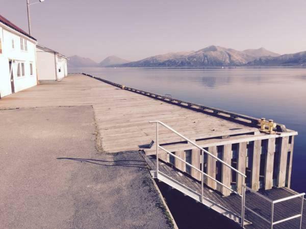 Aurora Harbour House Villa Lodingen Eksteriør billede